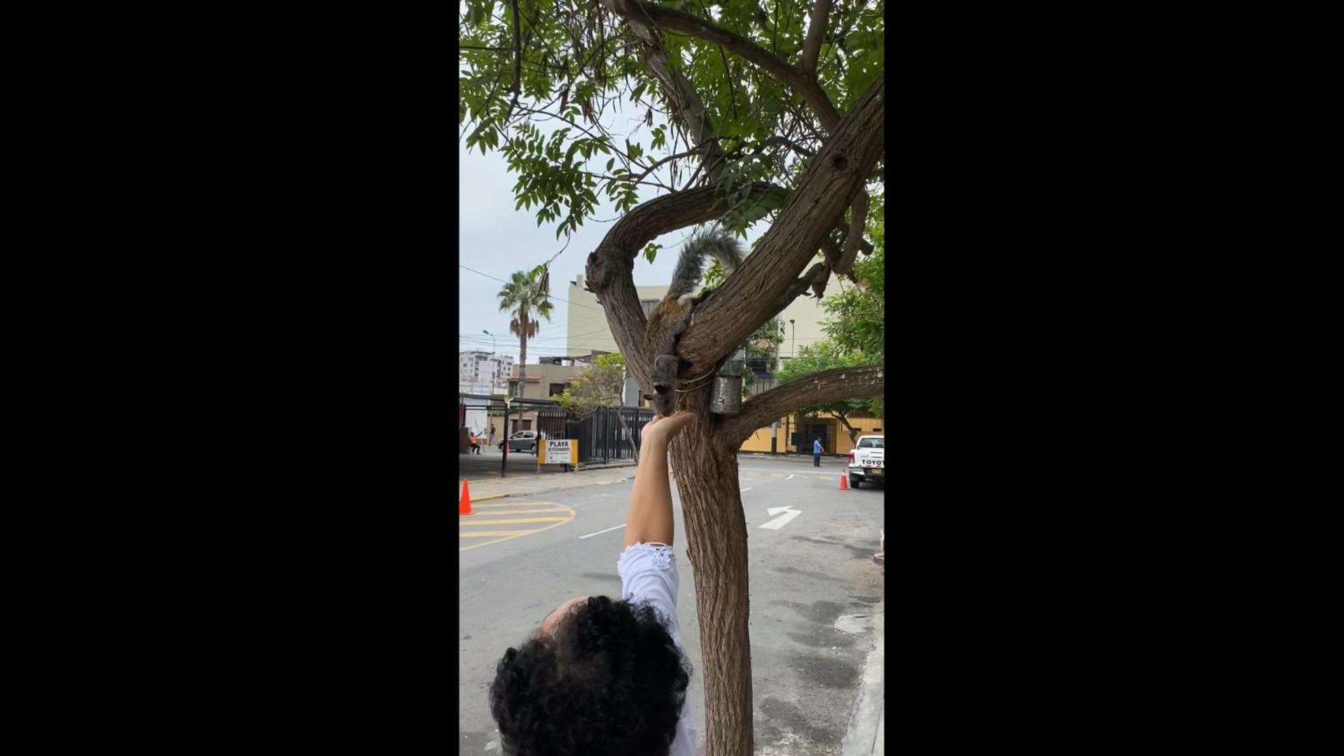 Miraflores Centre Lima Dış mekan fotoğraf